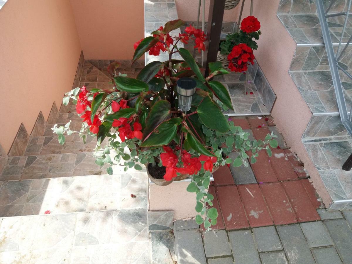 Beata Vendeghaz Hotel Tokaj Bagian luar foto