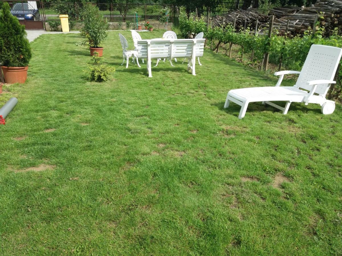 Beata Vendeghaz Hotel Tokaj Bagian luar foto