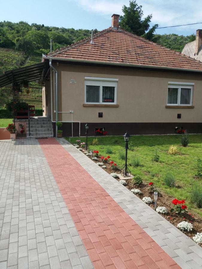 Beata Vendeghaz Hotel Tokaj Bagian luar foto